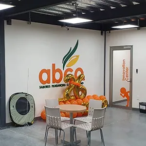 Pintura vinílica y esmalte